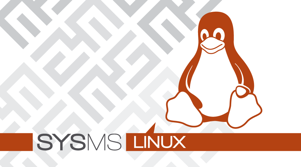 Dienstleistungen für Linux Dienstleistungen für Linux