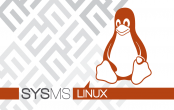 Dienstleistungen für Linux
